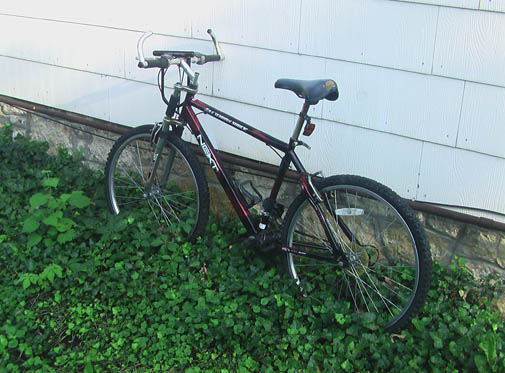 Free Bike