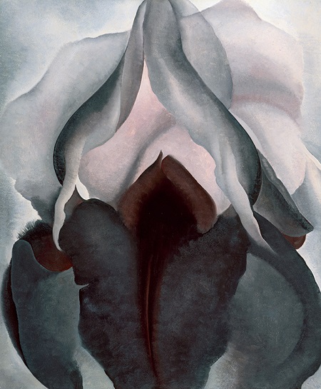 keeffe vagina flower